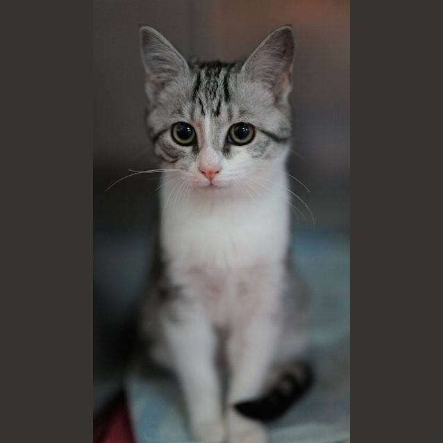 Photo of Nancy