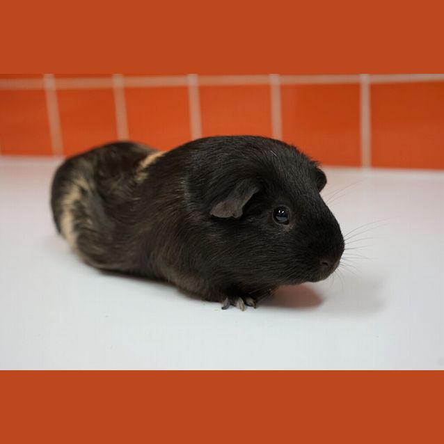 Photo of Bingo