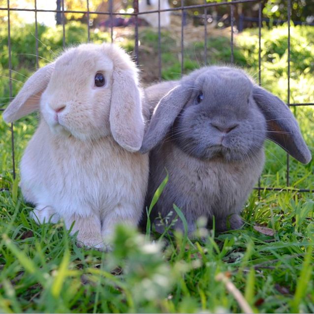 Photo of Frodo And Sam