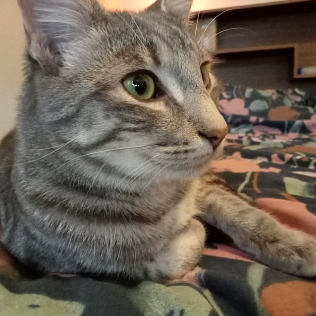 Photo of Asher