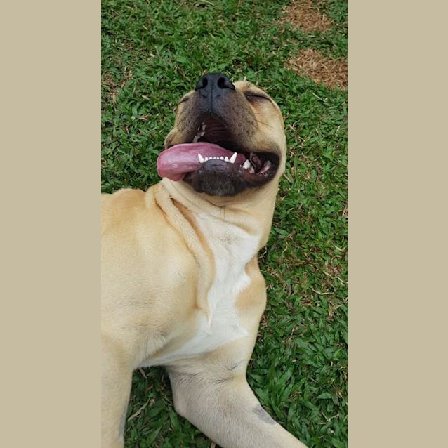 Photo of Yogi