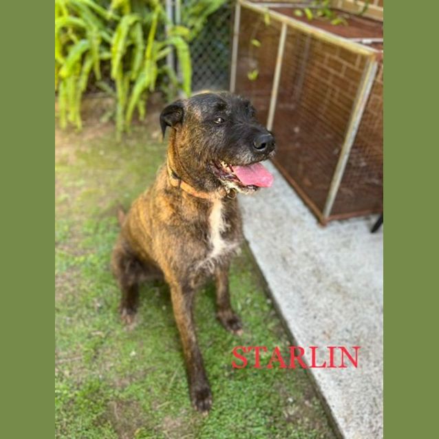 Photo of Starlin And Rustus