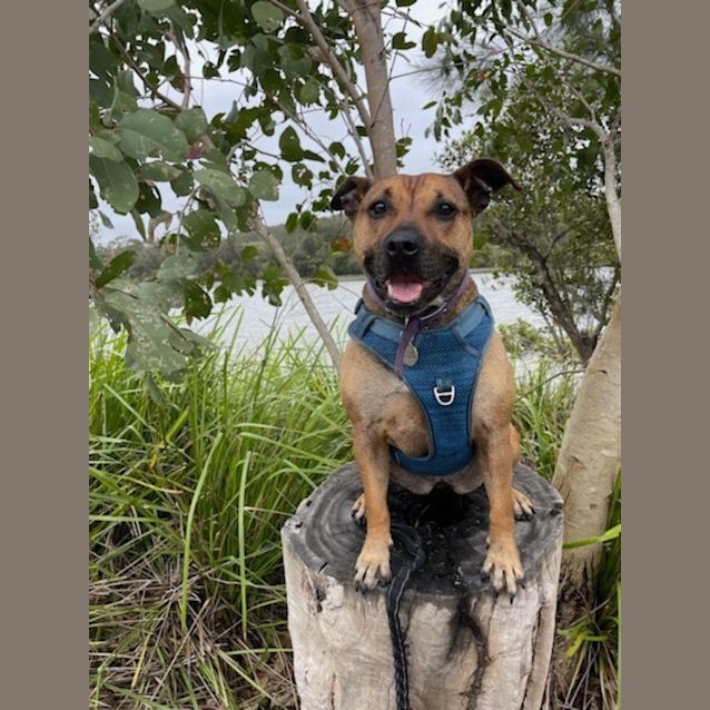 Photo of Megsie