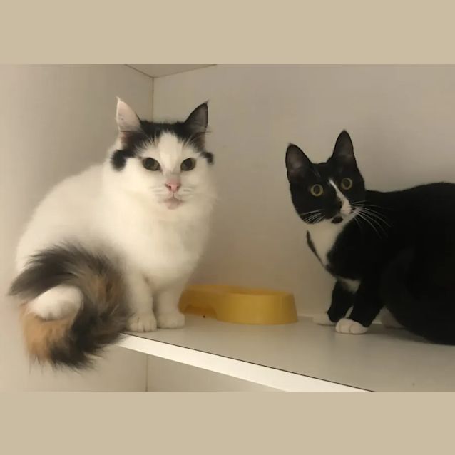 Photo of Sabrina & Lulu