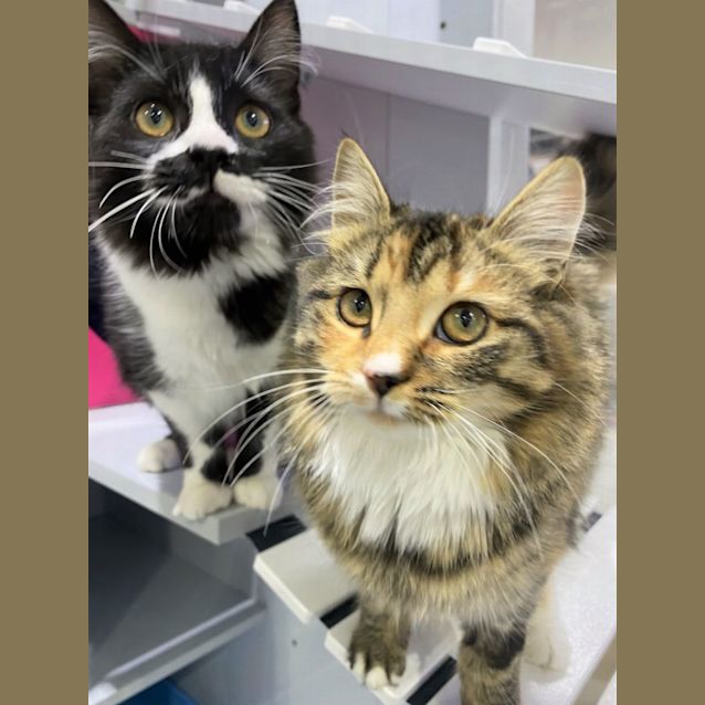 Photo of Barbie And Ken