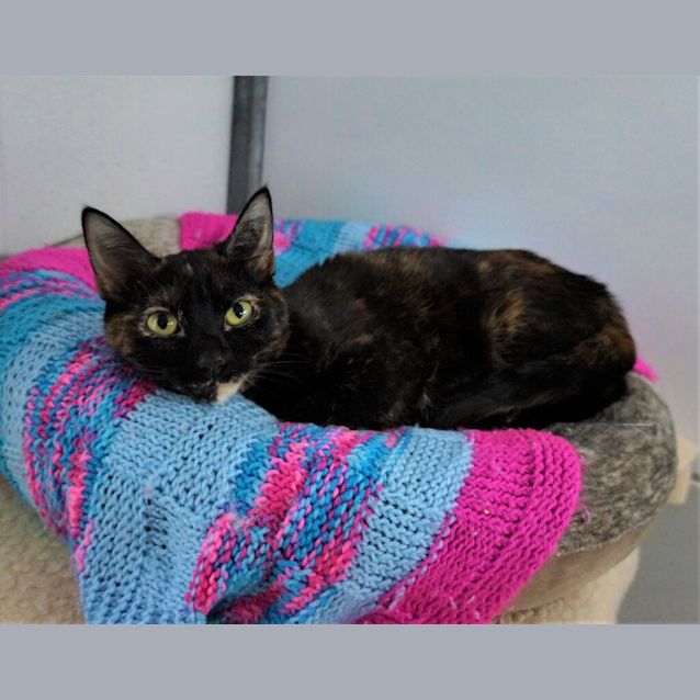 Photo of Lila