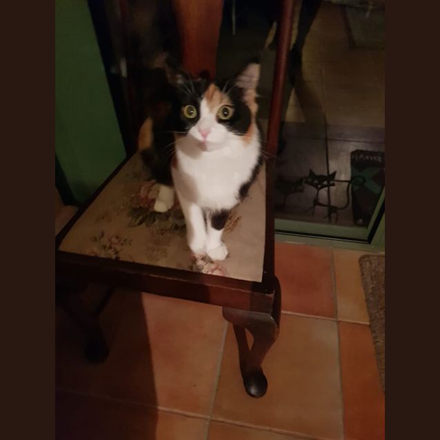 Photo of Matilda
