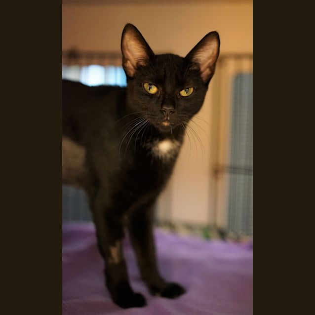 Photo of Luna