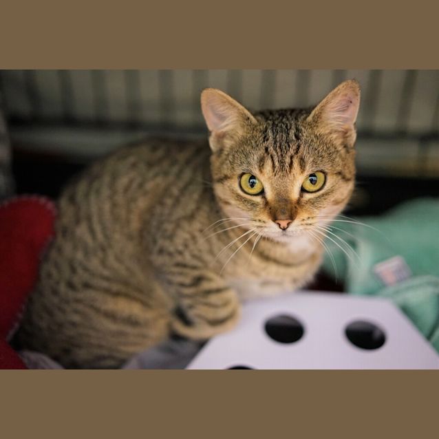 Photo of Molly 