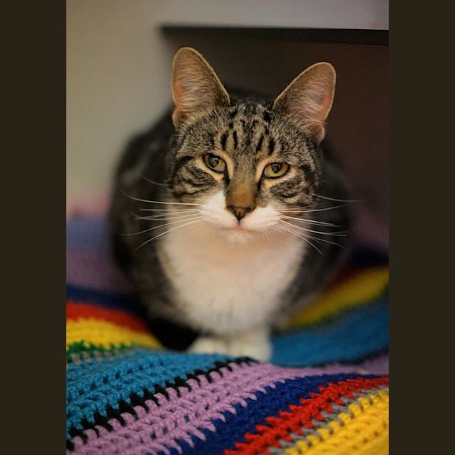 Photo of Thor