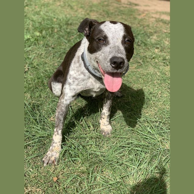 Photo of Nellie