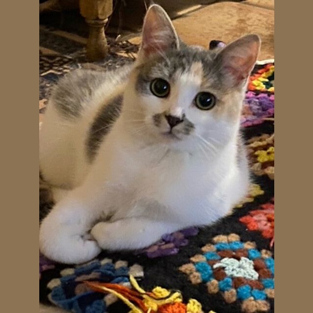 Photo of Obie