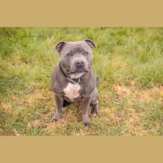 Photo of Kratos