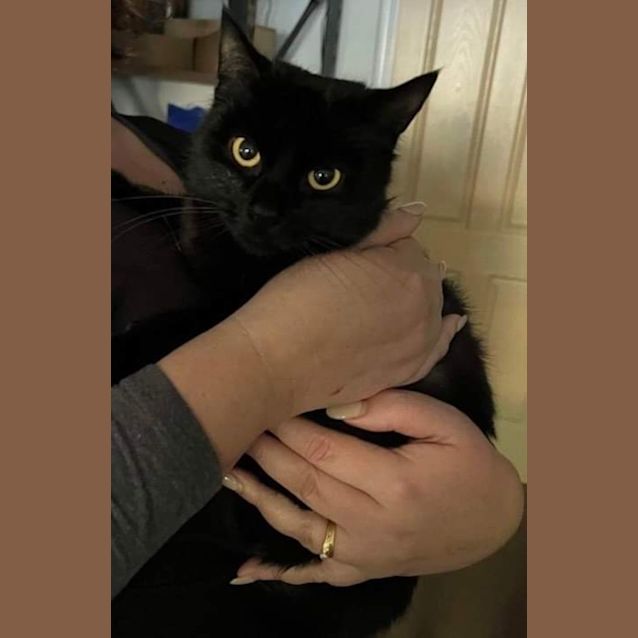 Photo of Lyla