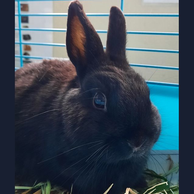 Photo of Benny