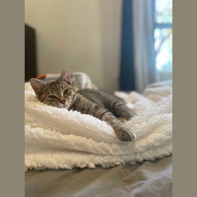 Photo of Moe