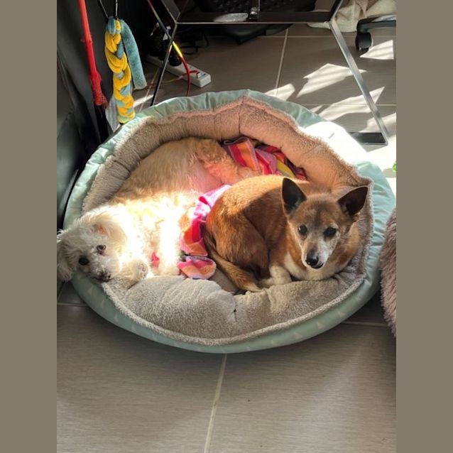 Photo of Walter Dahlstrom