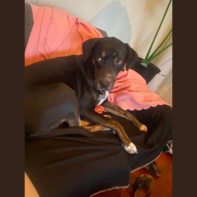 Photo of Marley Girl 👧 