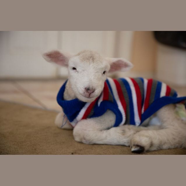 Photo of Eden And Tink