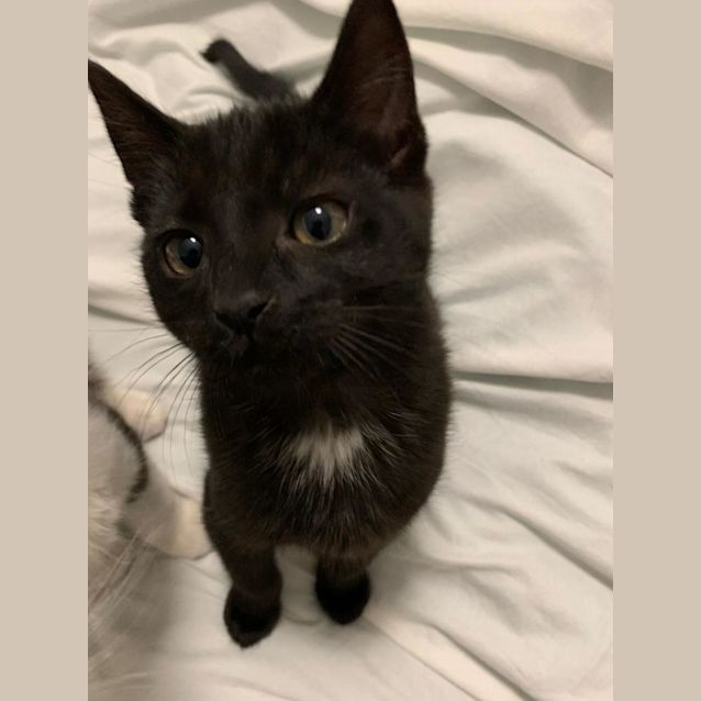 Photo of Oliver