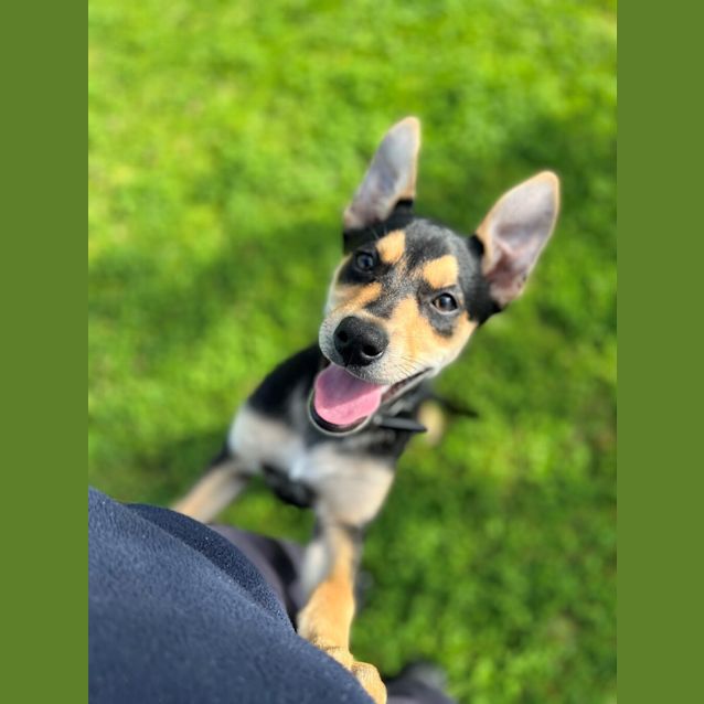 Photo of Vader 