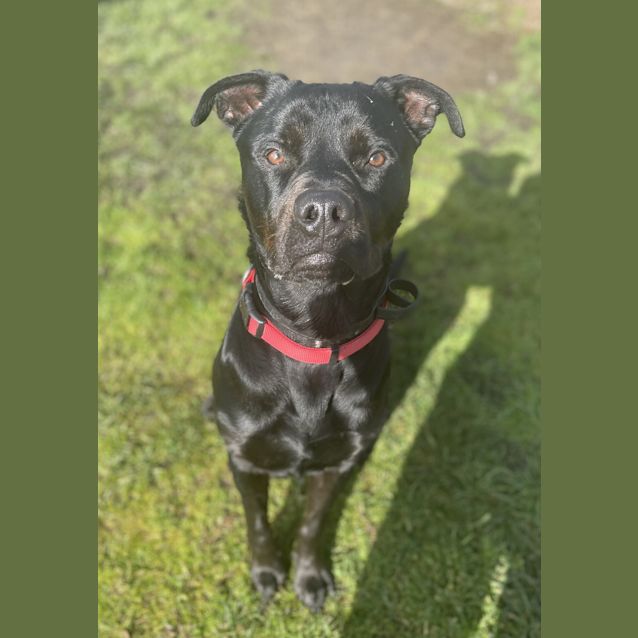 Photo of Bronx