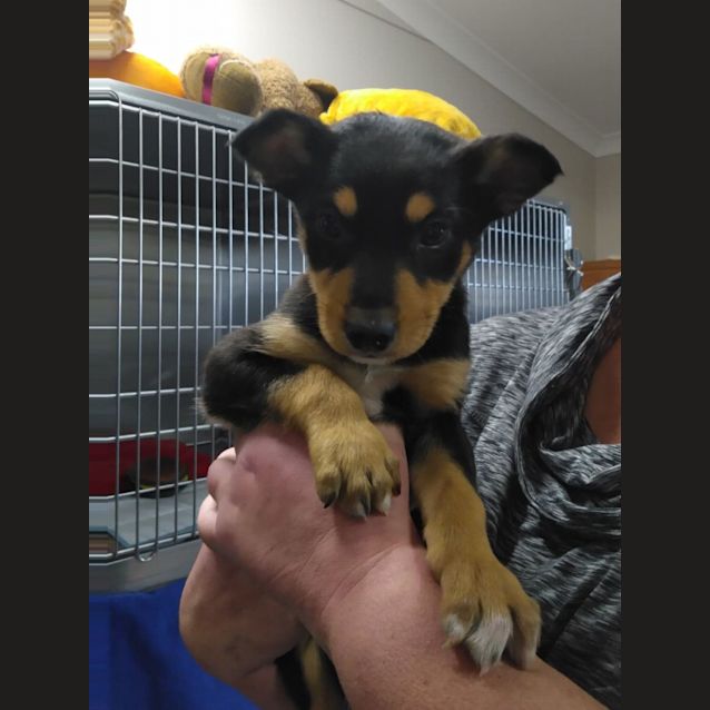 Photo of Maverick