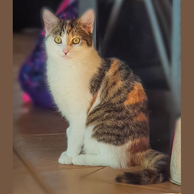 Photo of Xena