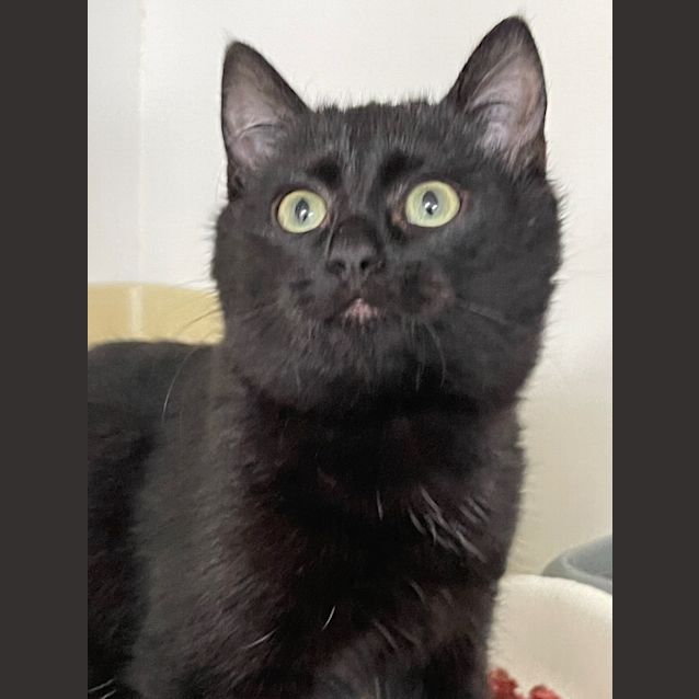 Photo of Popcorn