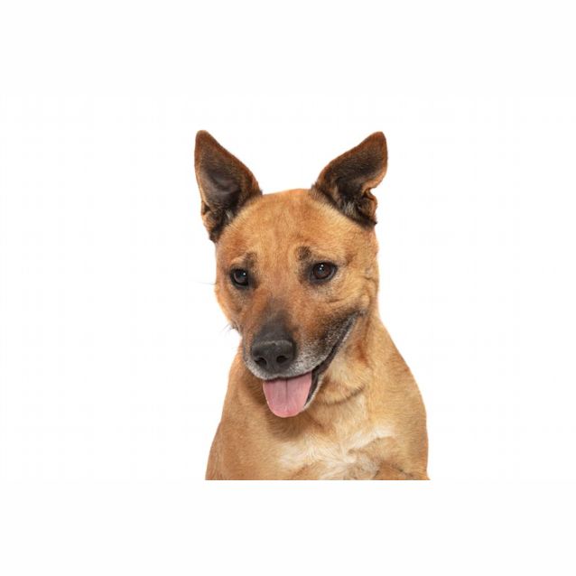Photo of Lola
