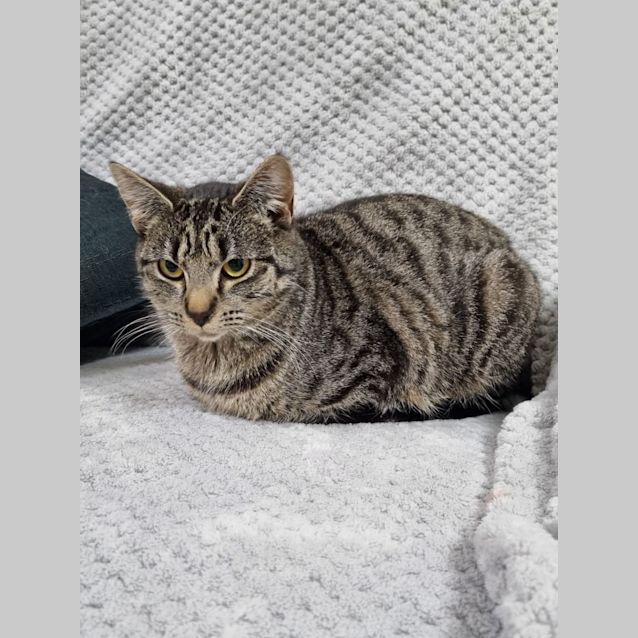 Photo of Bernadette (Bernie)