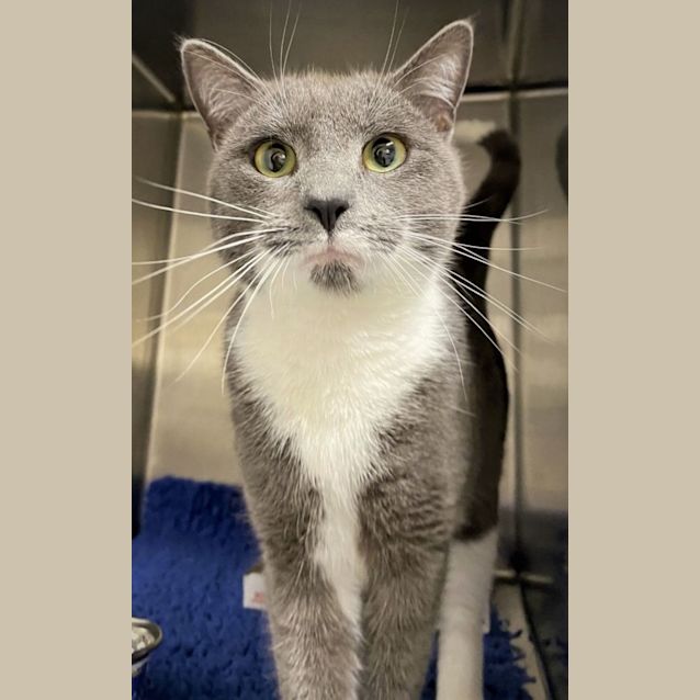 Photo of Colonel Sanders