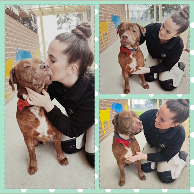 Photo of 🧡 Buddy C03997 🧡