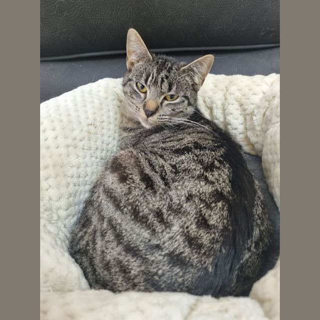 Photo of Bernadette (Bernie)