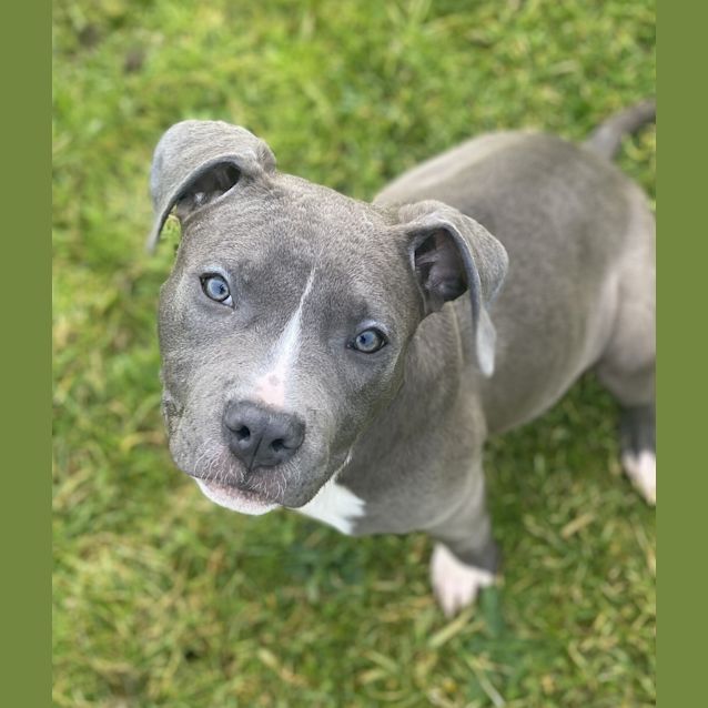 Photo of Roxy