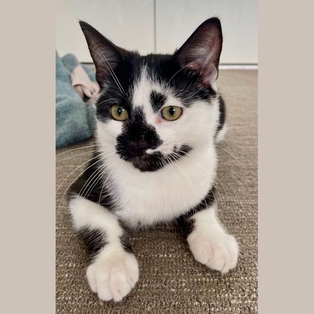 Photo of Dora And Diego