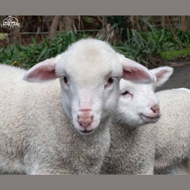 Photo of Jodie And Gracie