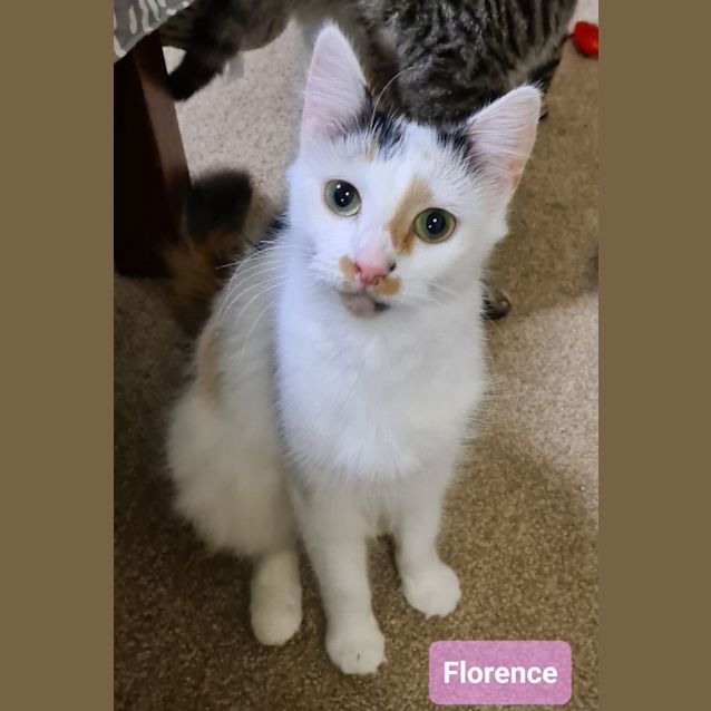Photo of Florence (& Penny)