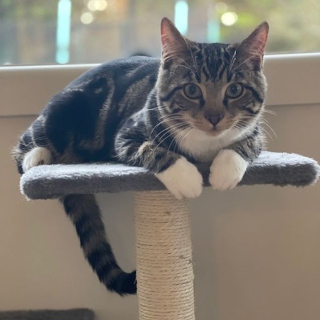 Photo of Boots
