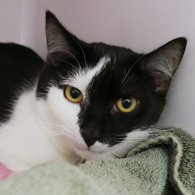 Photo of Murphy Stk010006