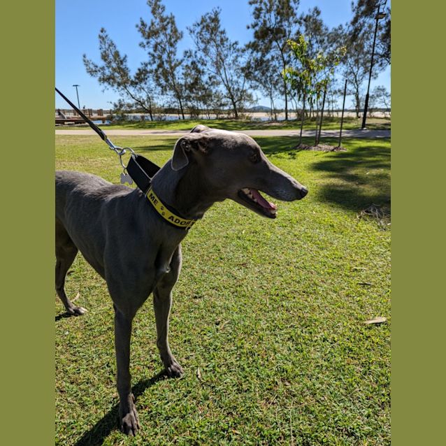 Photo of Missy And Fizzy