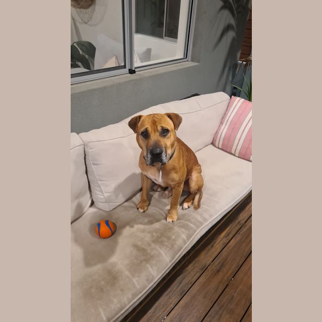 Photo of Vinnie Dl2909