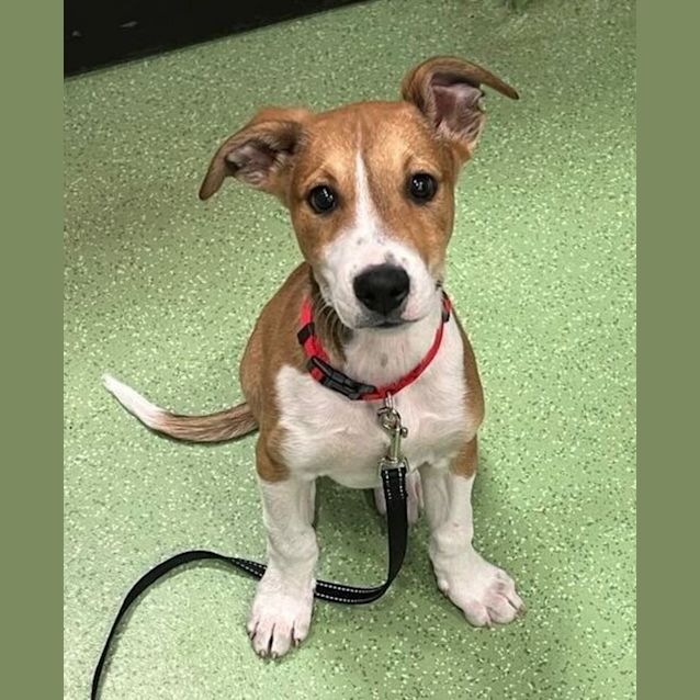 Photo of Ernie