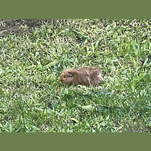 Photo of Jeffrey