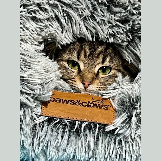 Photo of Caramel