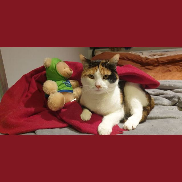 Photo of Tahnee & Uno