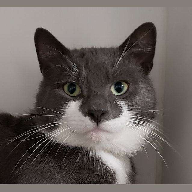 Photo of Monte