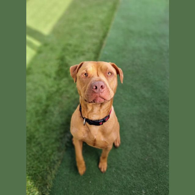 Photo of Wally