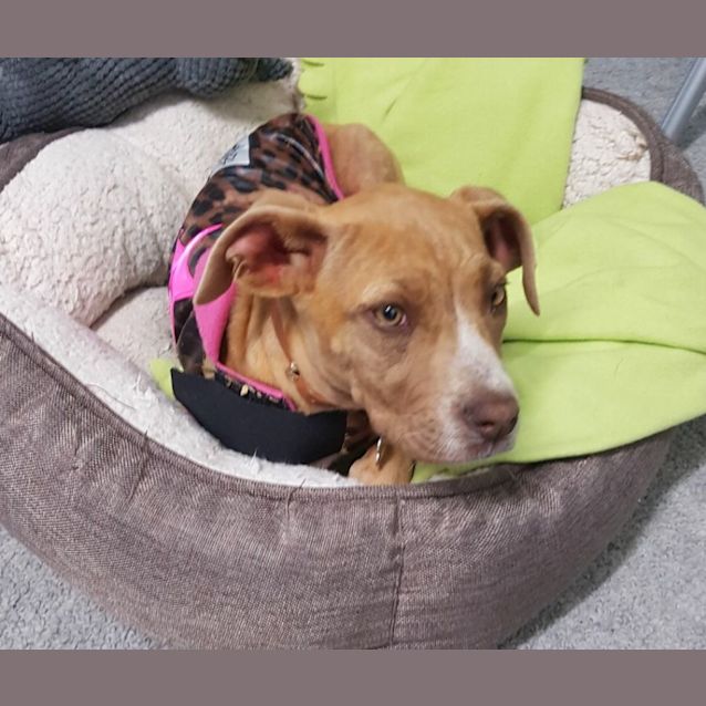 Photo of Molly