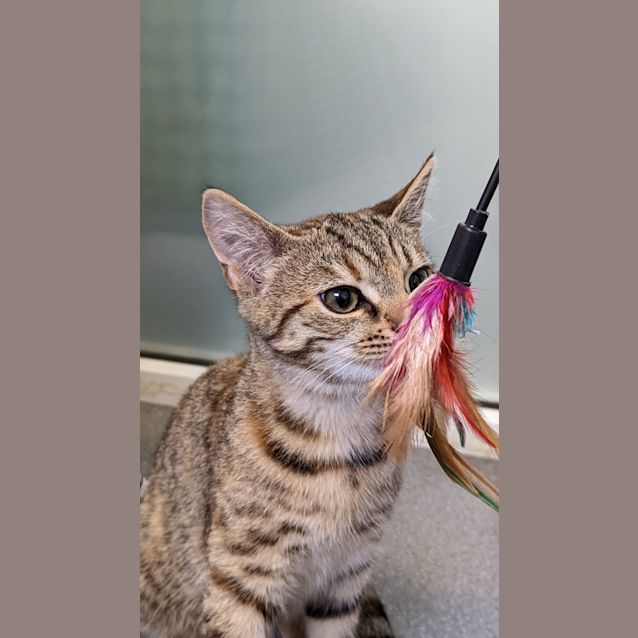 Photo of Macy